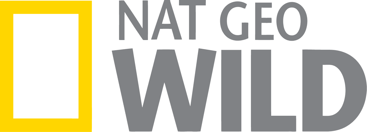 lista de canales iptv españa